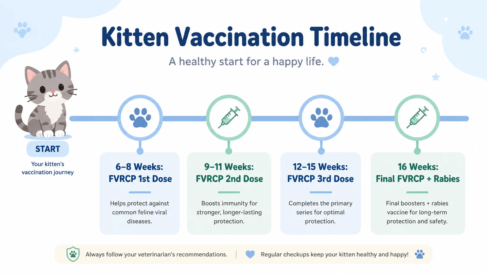 when should i get my kitten vaccinated