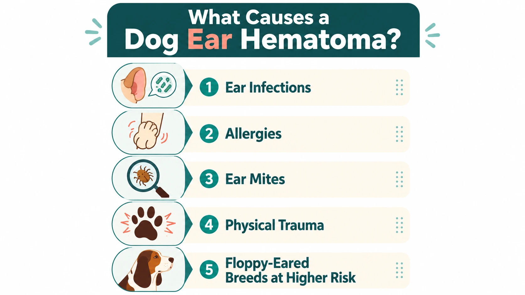 can ear hematoma kill dog