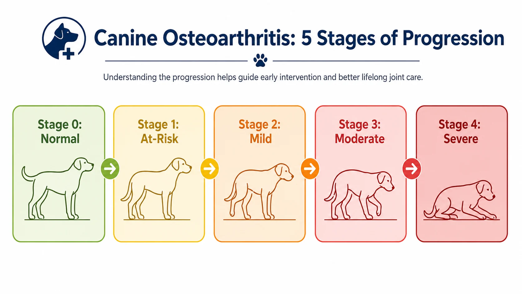 osteoarthritis symptoms in dogs