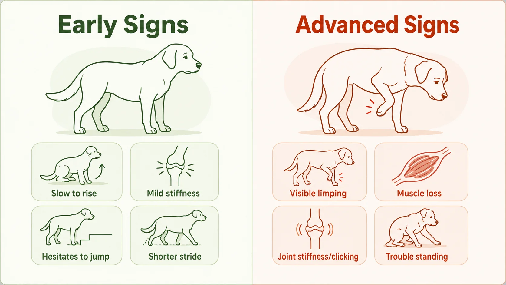 osteoarthritis symptoms in dogs