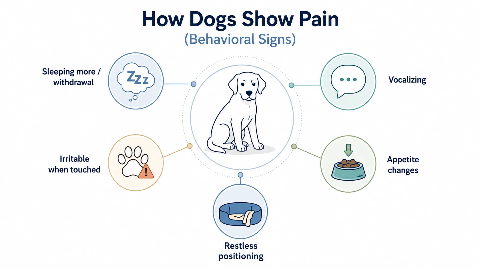 osteoarthritis symptoms in dogs
