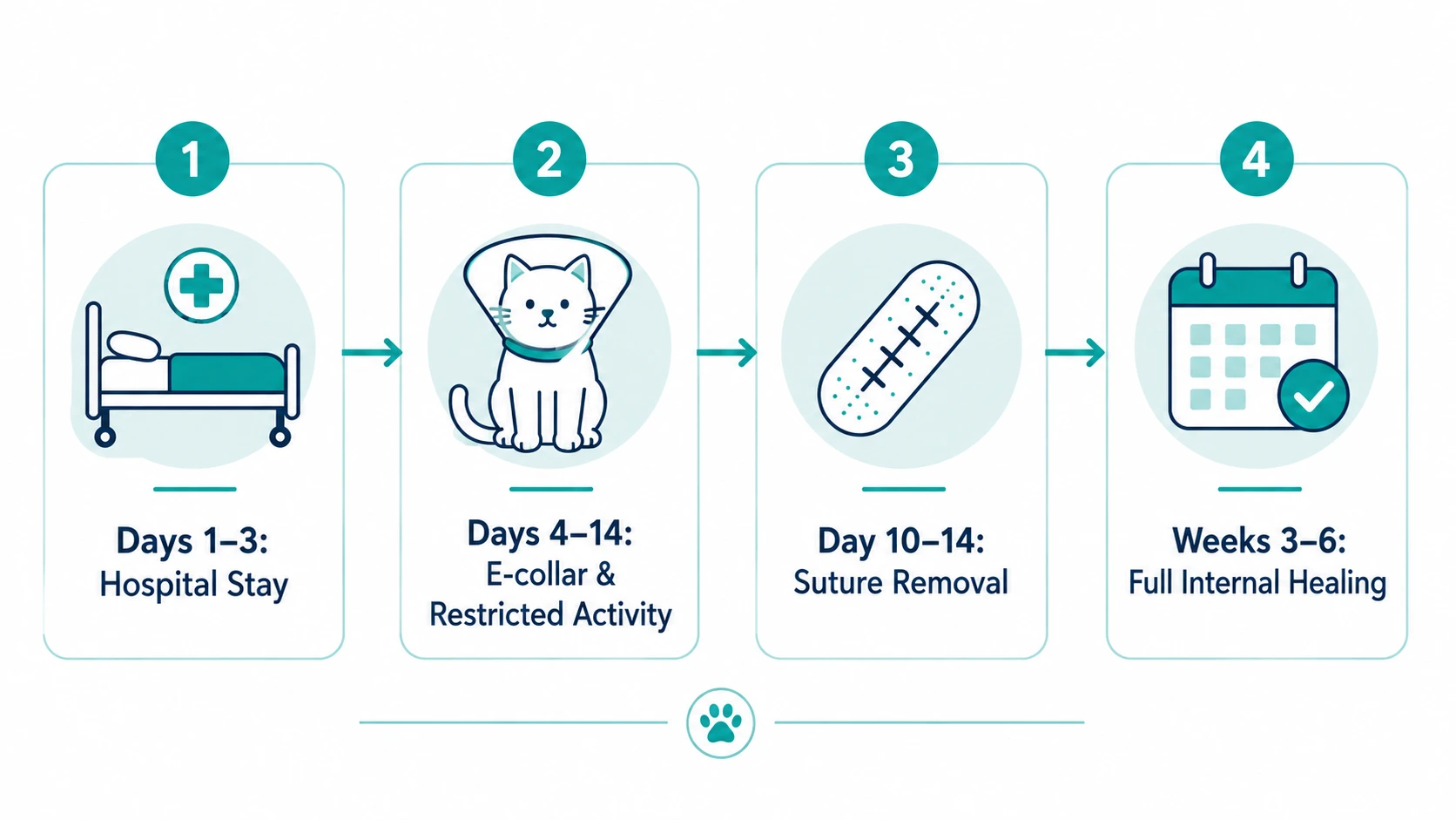 pu procedure cat